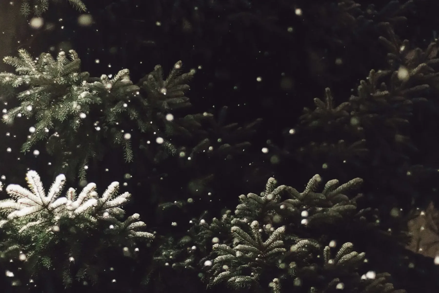 🎄 Pour Noël, pensez à votre artisan local : c’est vous qui faites vivre nos commerces